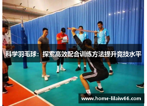 科学羽毛球：探索高效配合训练方法提升竞技水平