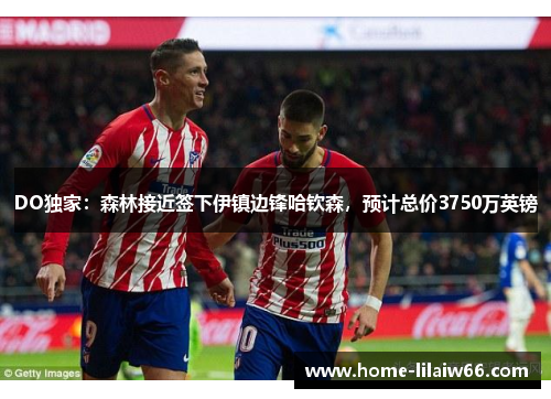 DO独家：森林接近签下伊镇边锋哈钦森，预计总价3750万英镑